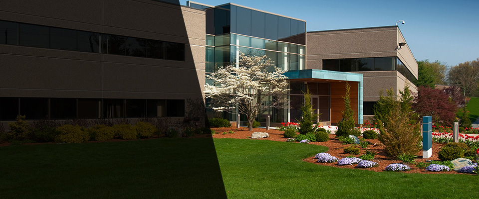 Delray Beach Landscapers