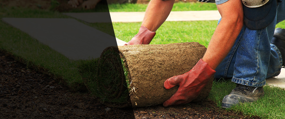 Delray Beach Landscapers